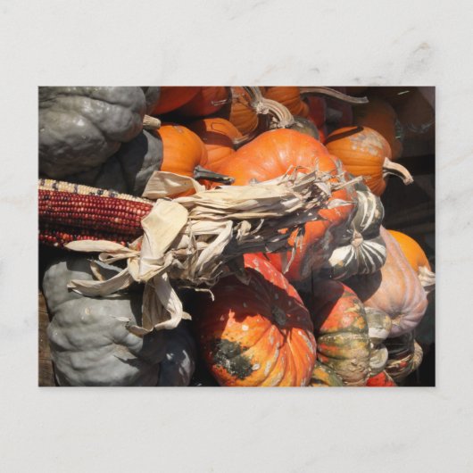 Fall Harvest Postkarte (Vorderseite)