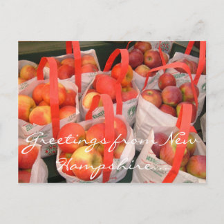 Fall Harvest Postkarte