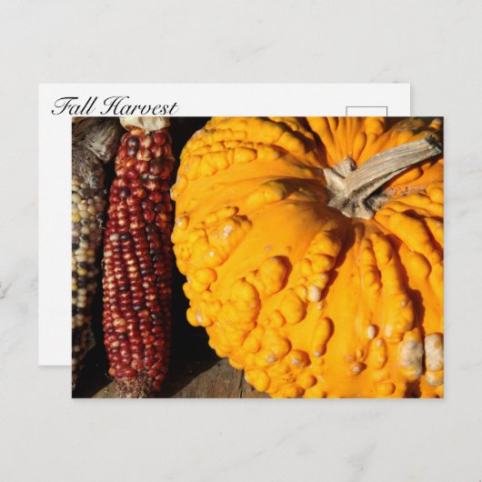 Fall Harvest Postkarte (Vorne/Hinten)