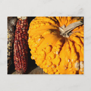 Fall Harvest Postkarte