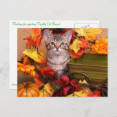 Fall Harvest Postkarte (Vorne/Hinten)