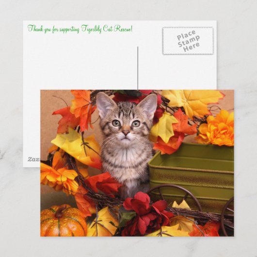 Fall Harvest Postkarte (Vorne/Hinten)