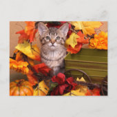 Fall Harvest Postkarte (Vorderseite)