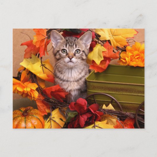 Fall Harvest Postkarte (Vorderseite)