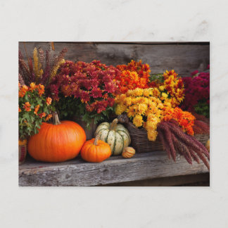 Fall Harvest Tablescape - Autumn Pumpkins Flowers Postkarte