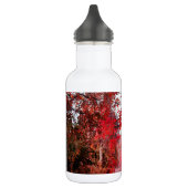 Fall-Herbst-Jahreszeit-Forest Park Trinkflasche (Links)