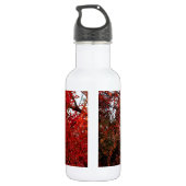 Fall-Herbst-Jahreszeit-Forest Park Trinkflasche (Rückseite)