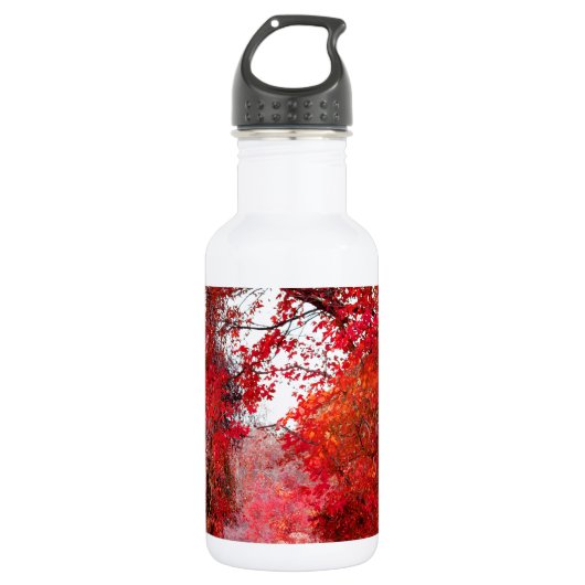 Fall-Herbst-Jahreszeit-Forest Park Trinkflasche (Vorderseite)