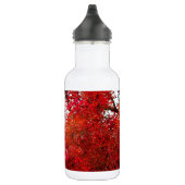 Fall-Herbst-Jahreszeit-Forest Park Trinkflasche (Rechts)