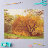 Fall-Herbst-LandschaftsFoto von Central Park Seidenpapier (Basteln)