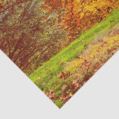 Fall-Herbst-LandschaftsFoto von Central Park Seidenpapier (Detail)