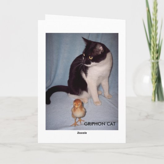 FALL HEREIN DORT! KARTE (Rückseite)