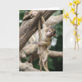 Fall herein dort karte (Gelbe Blume)