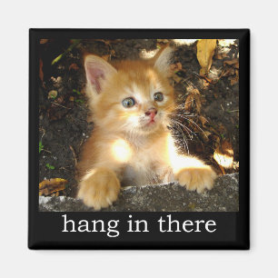 Fall-herein dort - Kätzchen-Magnet Magnet