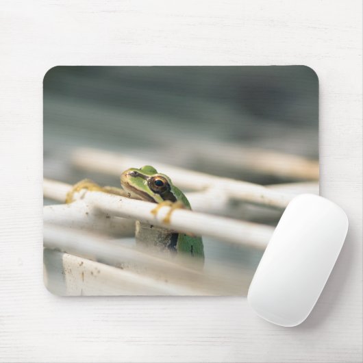 Fall herein dort! mousepad (Mit Mouse)