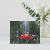Fall Hummingvogel Postkarte (Stehend Vorderseite)