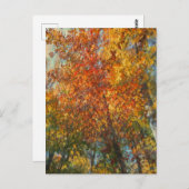 Fall im impressionistischen Stil Postkarte (Vorne/Hinten)