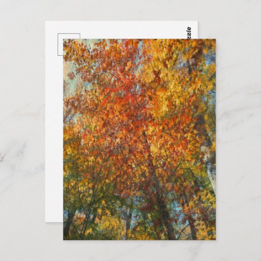 Fall im impressionistischen Stil Postkarte (Vorne/Hinten)