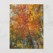 Fall im impressionistischen Stil Postkarte (Vorderseite)