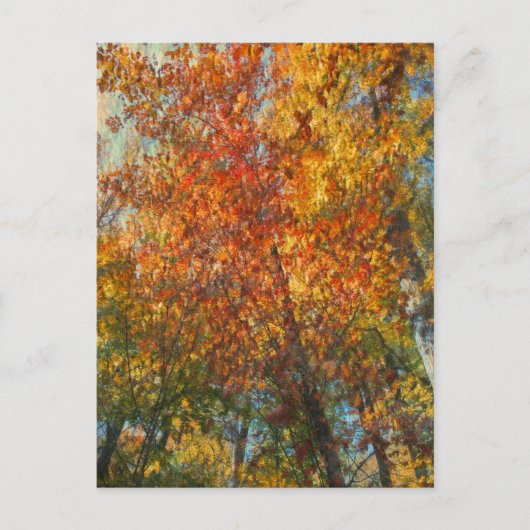 Fall im impressionistischen Stil Postkarte (Vorderseite)