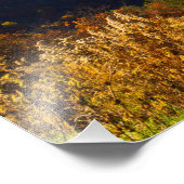 Fall im Shenandoah-Tal, Virginia Fotodruck (Ecke)