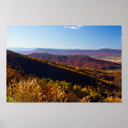 Fall im Shenandoah-Tal, Virginia Poster (Vorne)