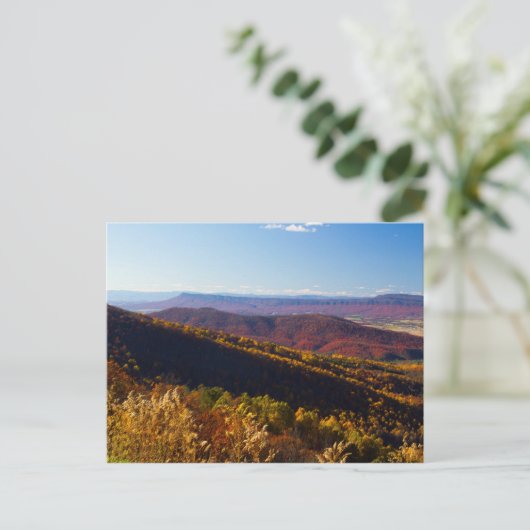 Fall im Shenandoah-Tal, Virginia Postkarte (Stehend Vorderseite)