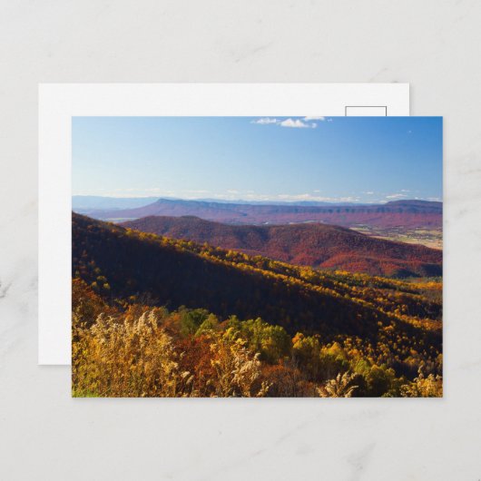 Fall im Shenandoah-Tal, Virginia Postkarte (Vorne/Hinten)