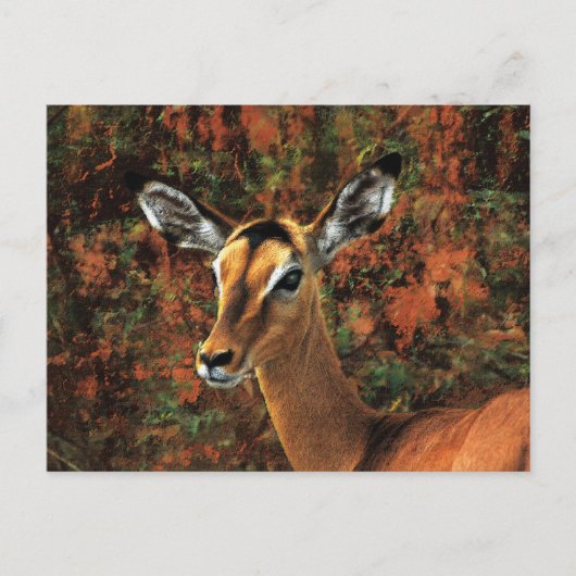Fall Impala Fantasy Art Postkarte (Vorderseite)