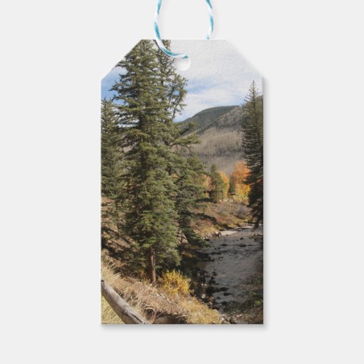 Fall in Aspen Geschenkanhänger (Vorderseite)