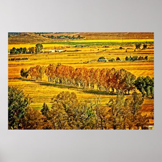 Fall in Carson Valley Poster (Vorne)