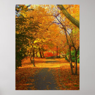 Fall in Central Park 06 27 Poster