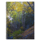 Fall in den Bergen 2 Notizblock (Vorderseite)