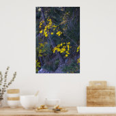 Fall in den Bergen 4 Poster (Küche)