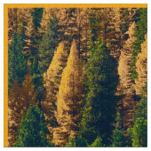 Fall in den Bergen Stoff (Nahaufnahme)