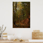 FALL IN DEN WALD MIT BÄUMEN UND REFLEXIONEN POSTER (Küche)