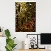 FALL IN DEN WALD MIT BÄUMEN UND REFLEXIONEN POSTER (Heimbüro)
