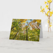 Fall in einem Wald in Amesbury, Massachusetts Karte (Gelbe Blume)