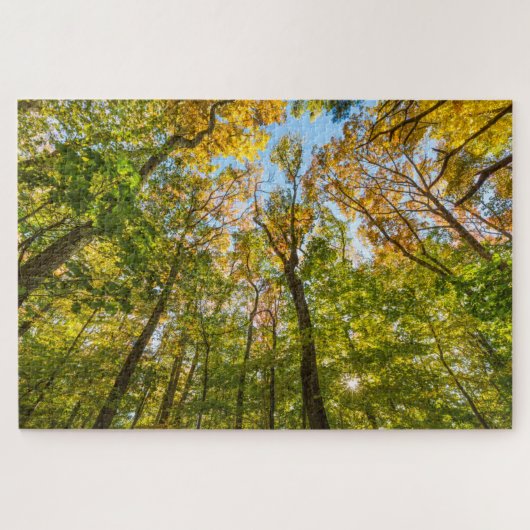 Fall in einem Wald in Amesbury, Massachusetts Puzzle (Horizontal)