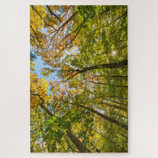 Fall in einem Wald in Amesbury, Massachusetts Puzzle (Vertikal)