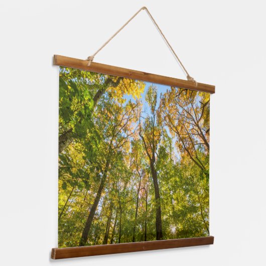 Fall in einem Wald in Amesbury, Massachusetts Wandteppich Mit Holzrahmen (Gewinkelt)