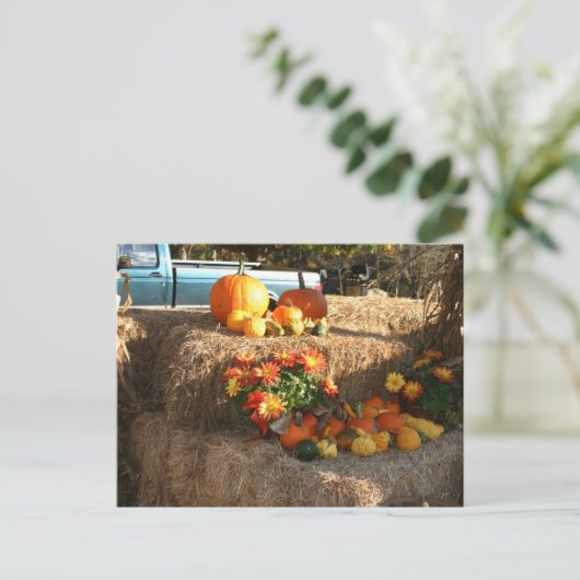 Fall in Ellington, CT. Postkarte (Stehend Vorderseite)