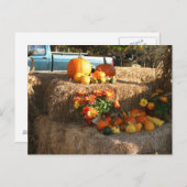 Fall in Ellington, CT. Postkarte (Vorne/Hinten)