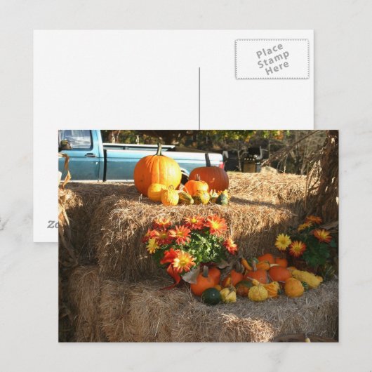 Fall in Ellington, CT. Postkarte (Vorne/Hinten)