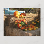 Fall in Ellington, CT. Postkarte (Vorderseite)