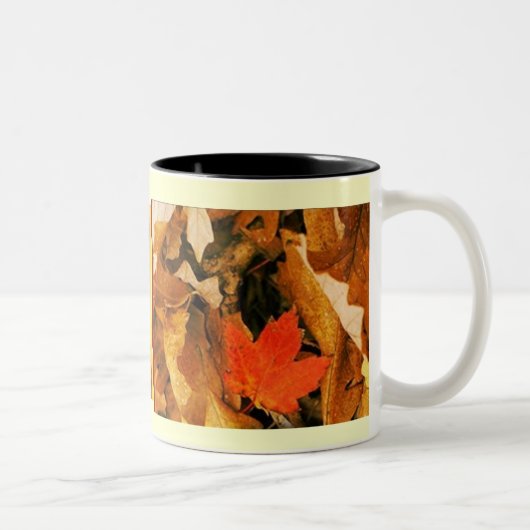 Fall in Herbst verlässt Tasse (Rechts)