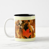Fall in Herbst verlässt Tasse (Links)