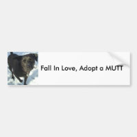 Fall in Liebe, adoptieren einen KÖTER