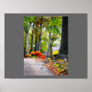 Fall in Missouri Poster