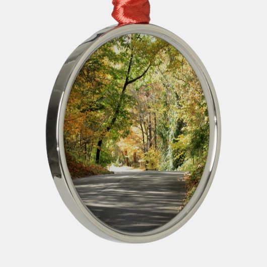 Fall in Neu-England hintere Straße Ornament Aus Metall (Rechts)